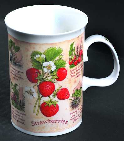 Cultivated Fruit  Mug