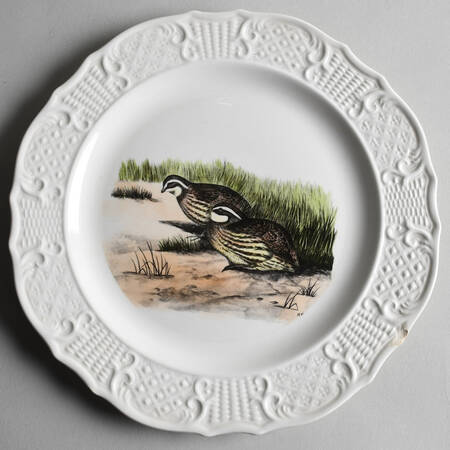 Birds of America (Scroll Rim) Dinner Plate