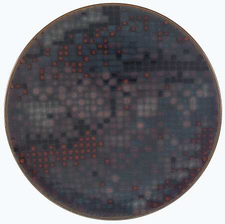Swatch by Denby-Langley