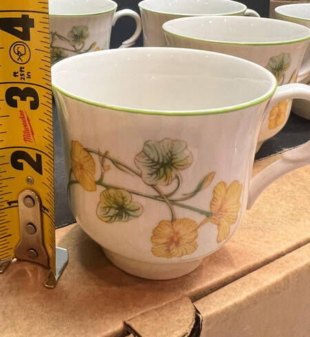 Nasturtium Snack Cup