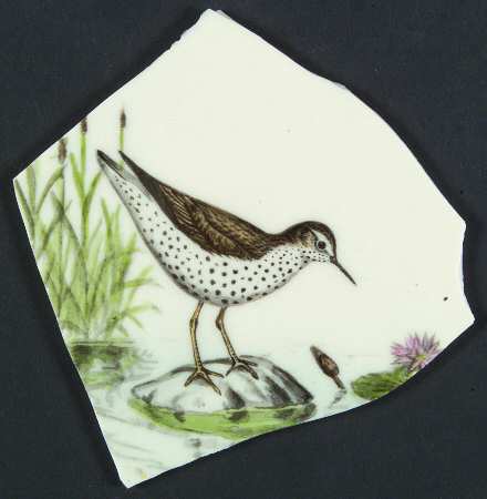 DTU7 Dinner Plate