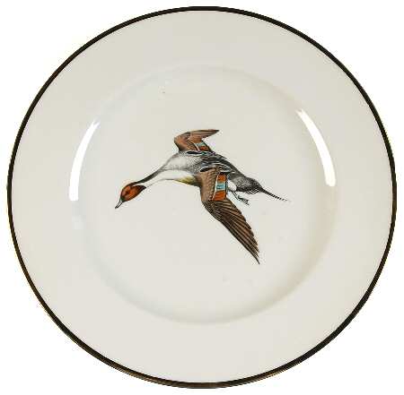 DTU9 Dinner Plate