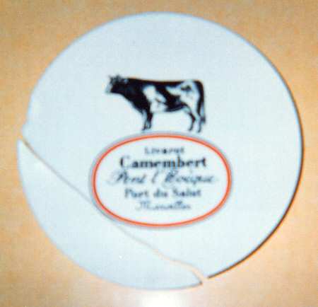 DEY5 Dinner Plate