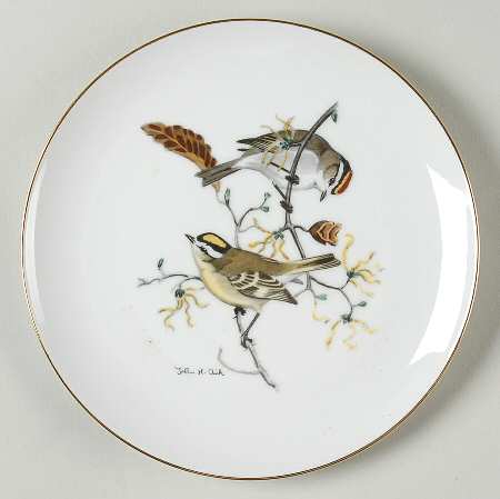 DTU12 Salad Plate