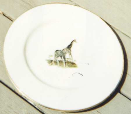 DTU13 Dinner Plate