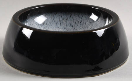 Halo Dog Bowl
