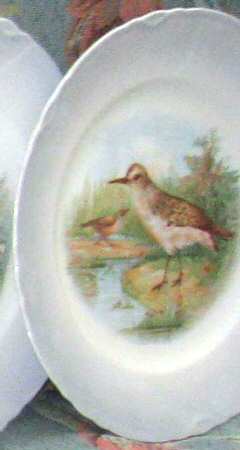 DRC46 Salad Plate