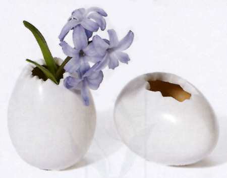 Signs of Spring Bud Vase