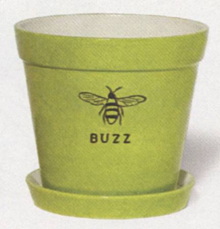 Garden Buzz 9" Planter