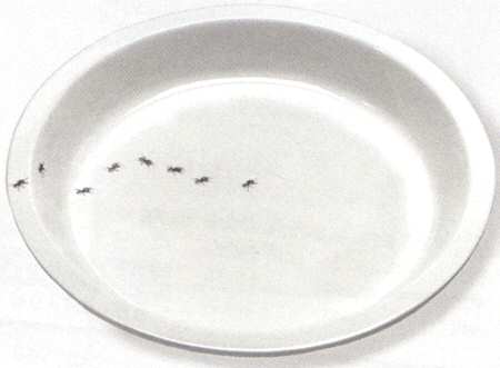 The Artful Garden 10" Deep Pie Serving Baking Plate
