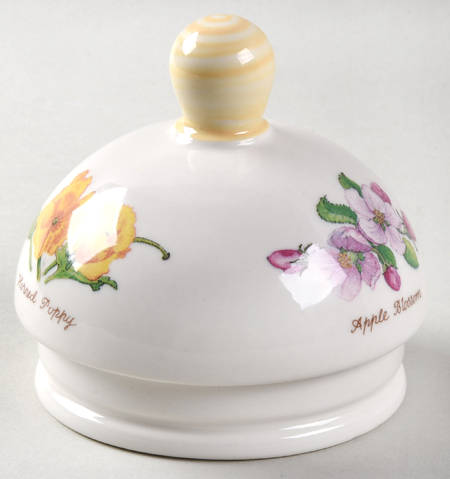 Nature Trail Lid for Tea Canister