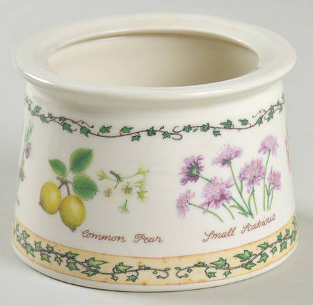 Nature Trail Preserve Jar No Lid