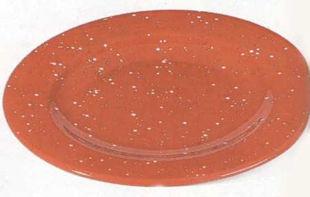 Cozy Christmas Dinner Plate