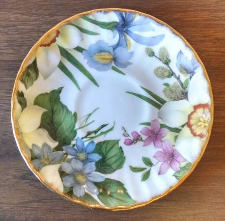 DUC97 Saucer