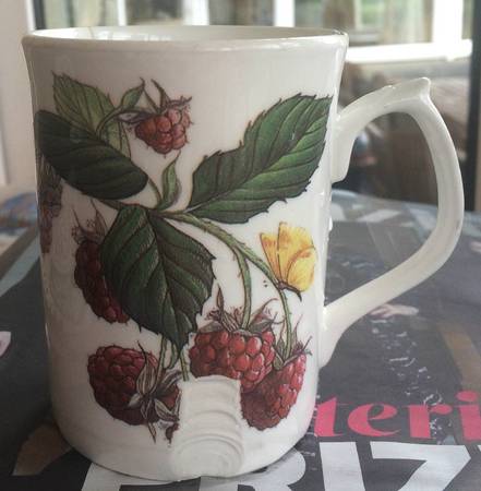 DUC111 Mug