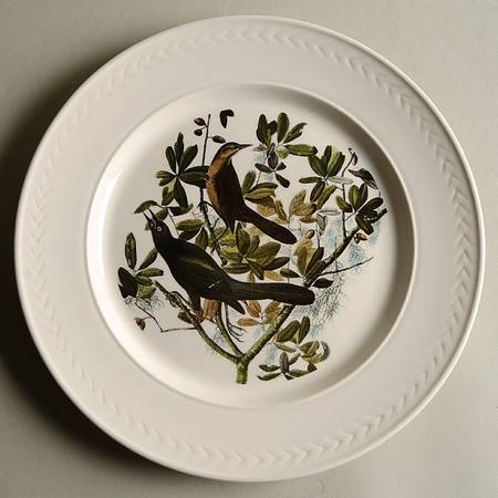 Birds of America (Laurel Rim) Dinner Plate