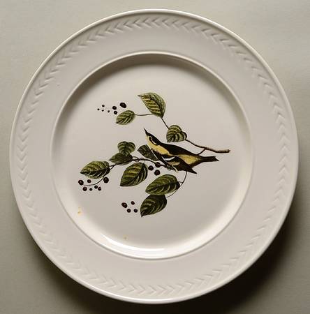 Birds of America (Laurel Rim) Dinner Plate