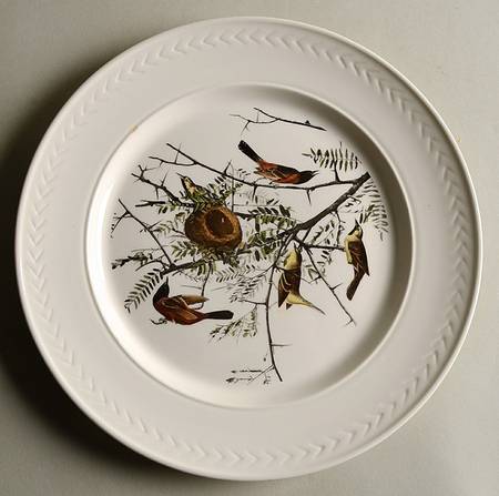 Birds of America (Laurel Rim) by Delano Studios