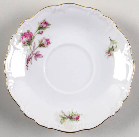 16793 Saucer