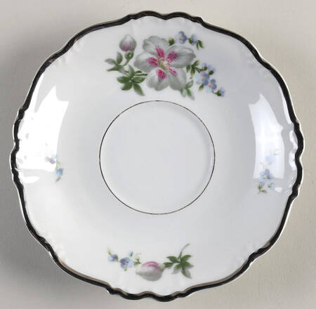 Lynn Saucer