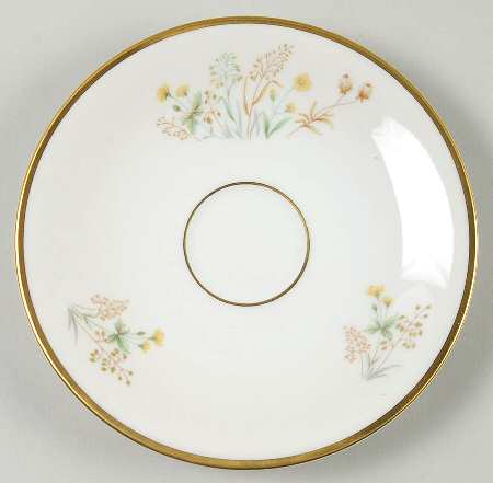 Mayflower Saucer