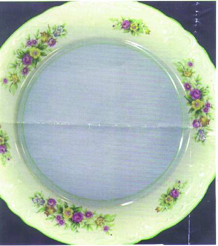 EMJ2 Dinner Plate
