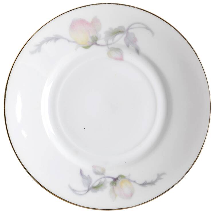 Pastelle (White Background) Saucer for Flat Cup