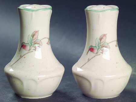 Apple Magic Salt & Pepper Set