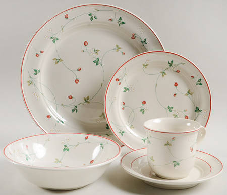 Strawberry Time 5 Piece Place Setting by Epoch