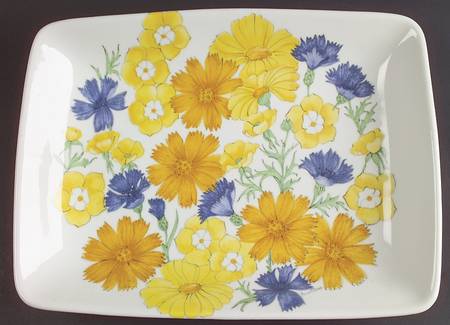 ERN2 12" Rectangular Serving Platter