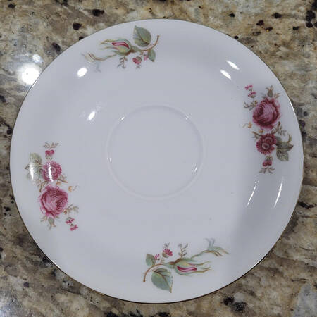 P860 Saucer