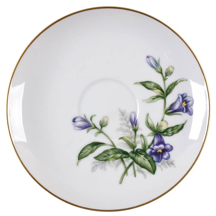 Bluebells Saucer by Eterna