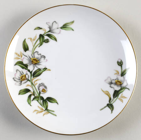 Salad Plate