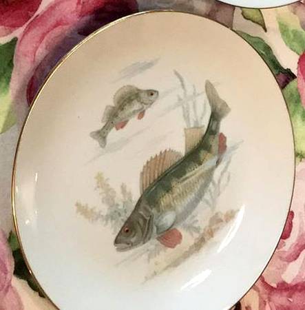 EPI103 Salad Plate