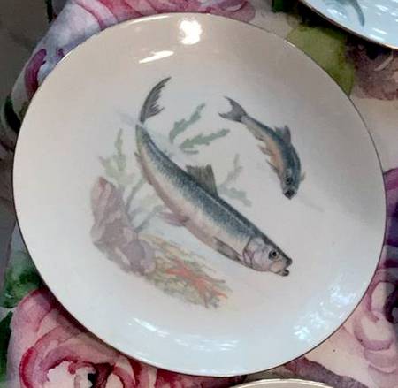 EPI103 Salad Plate