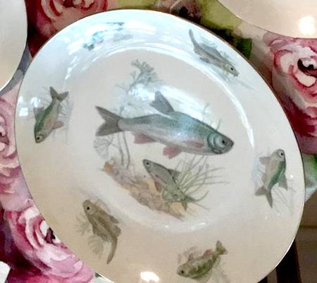 EPI103 Dinner Plate
