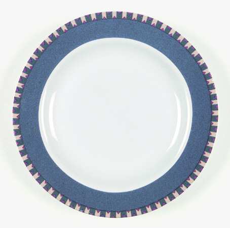 New Horizons Blue Salad Plate