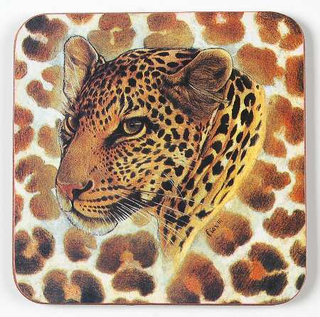 Wild Life Coaster