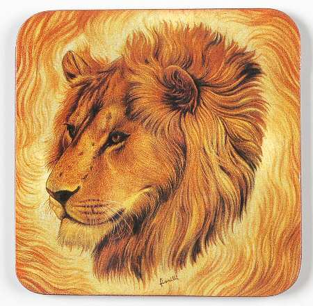 Wild Life Coaster