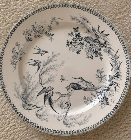 ELS5 Dinner Plate