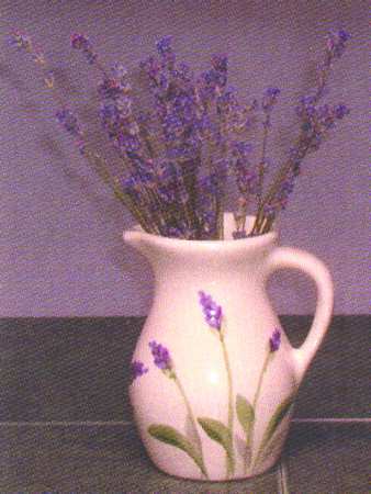 Lavender 54 Oz Pitcher
