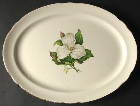EAN27 13" Oval Serving Platter