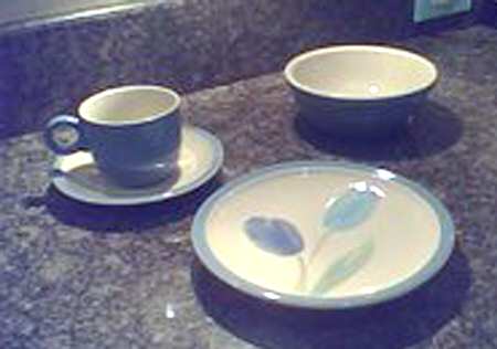 Tulip Time Flat Cup & Saucer Set