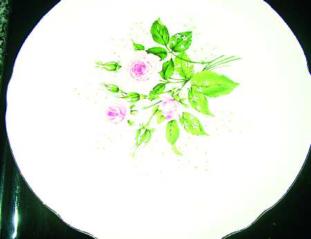 EAN29 Dinner Plate