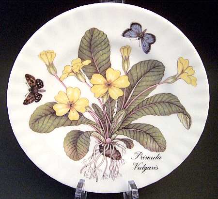 ENG112 Salad Plate