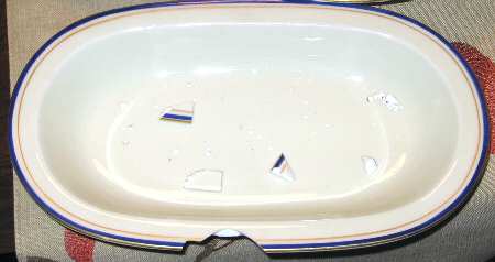 EDE49 9" Oval Vegetable Bowl
