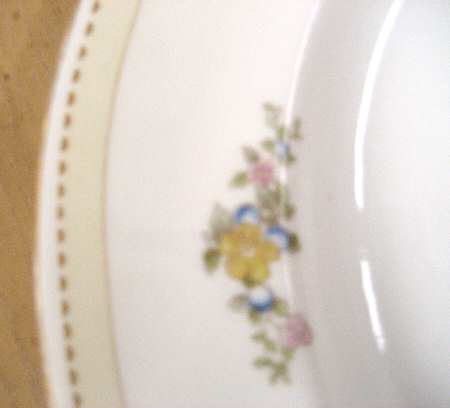 EPI383 Dinner Plate
