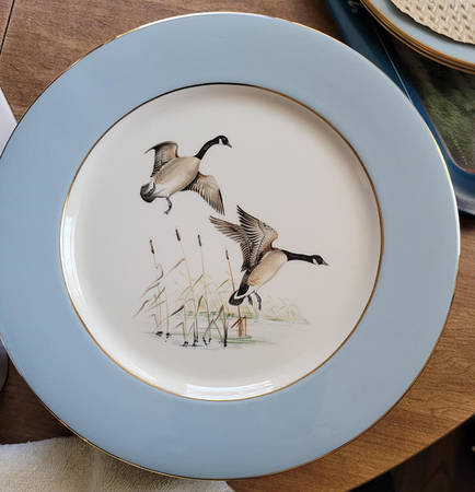 ELH5 Dinner Plate