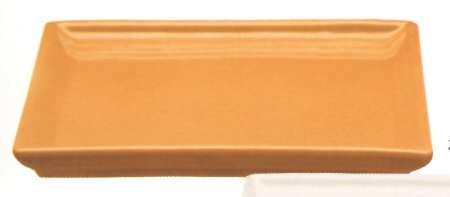 Tangerine Square Dinner Plate