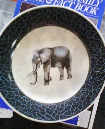 EDS57 Salad Plate